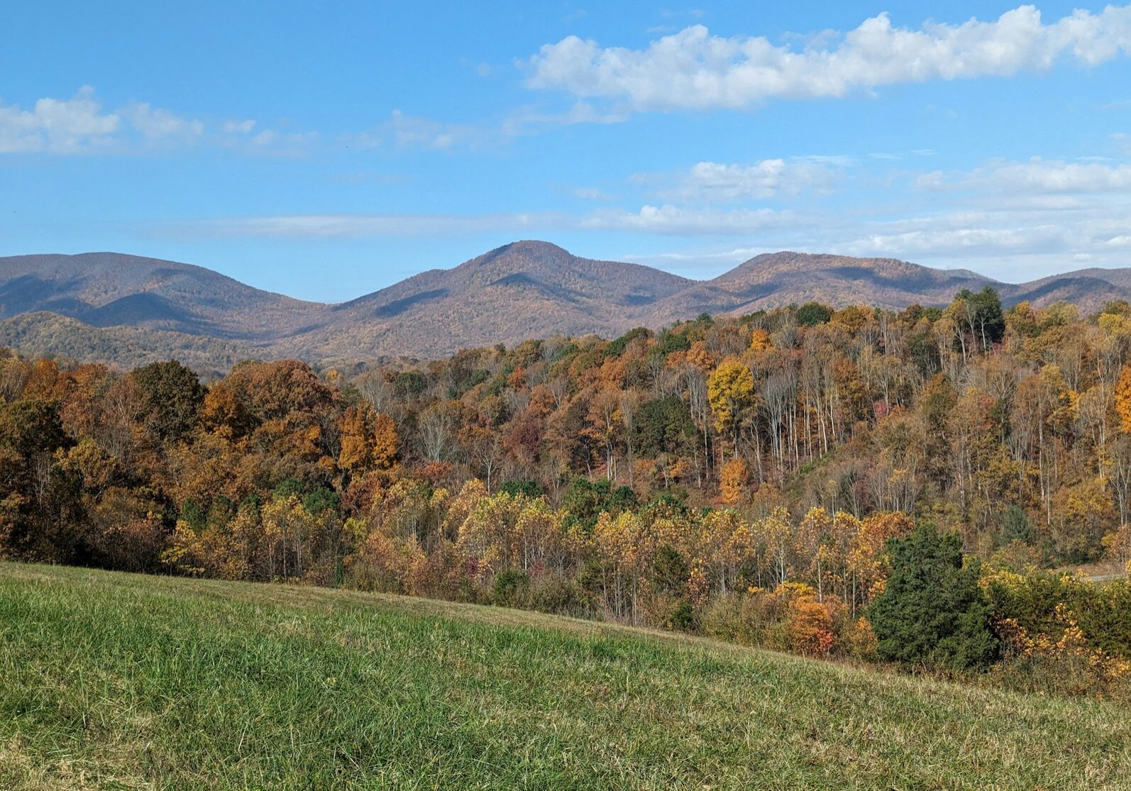 Photo by Ted Whitney a view of a mountain range with trees in the foreground